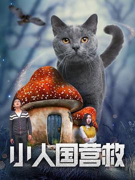 而确定要做这一特技后，他又进行了一年半的“机翼行走”专项训练，包括风洞测试、力量训练以及数十次的模拟飞行，逐渐掌握如何在极端条件下保持呼吸和平衡。